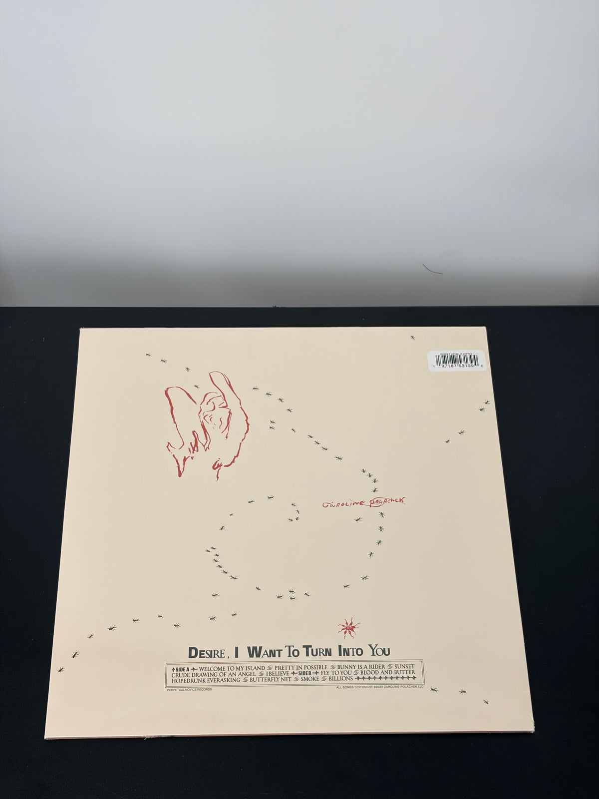 Caroline Polachek - Desire, I Want to Turn into You