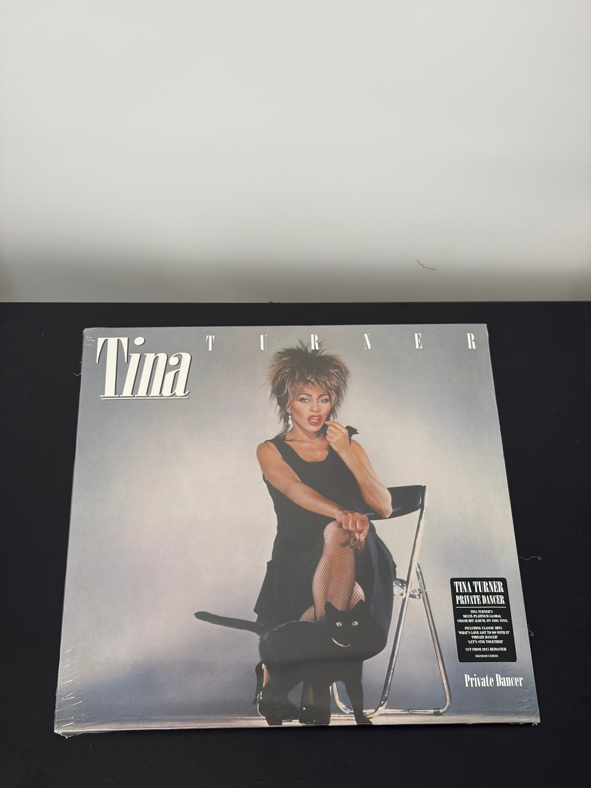 Tina Turner - Private Dancer
