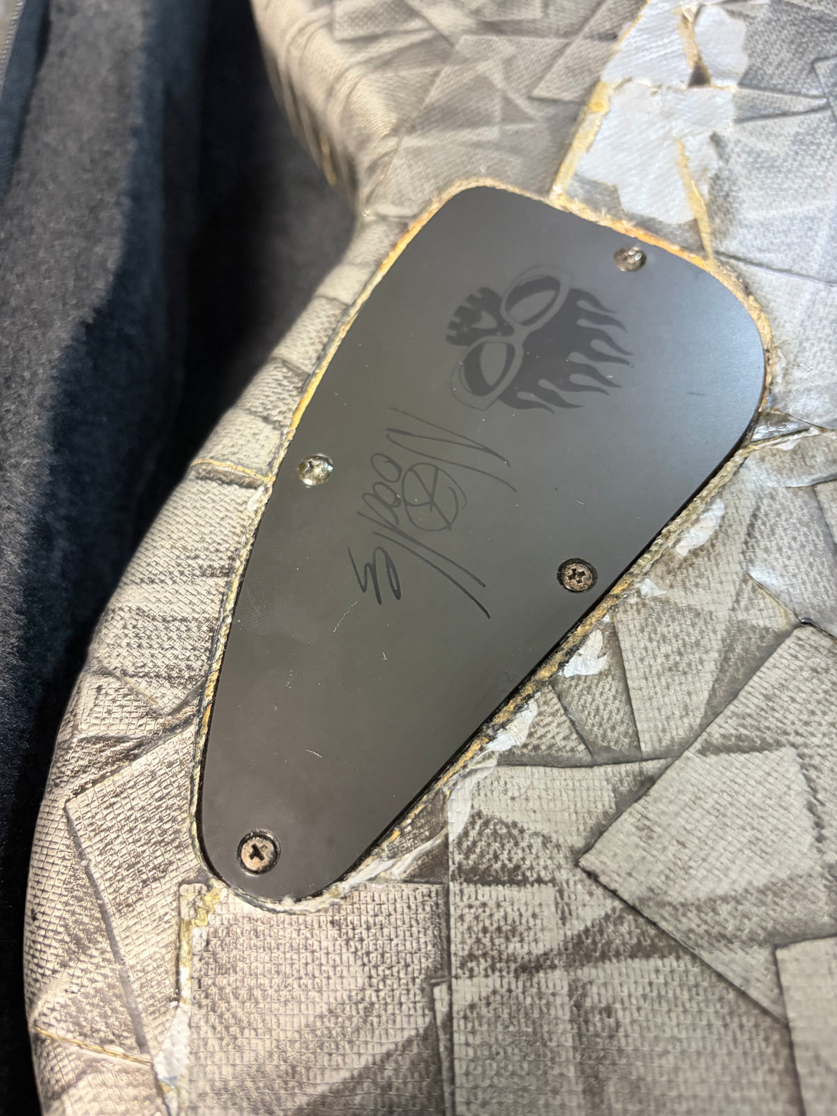 Ibanez NDM1